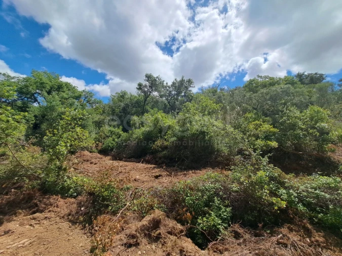Terreno Agricola ou Rústico para Venda em Ourique Foto 28