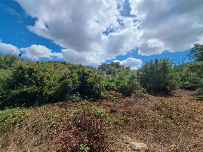 Terreno Agricola ou Rústico para Venda em Ourique Foto 30