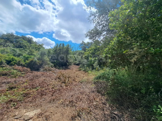 Terreno Agricola ou Rústico para Venda em Ourique Foto 31