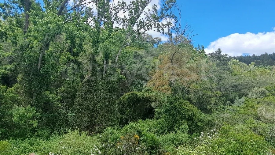 Terreno Agricola ou Rústico para Venda em Ourique