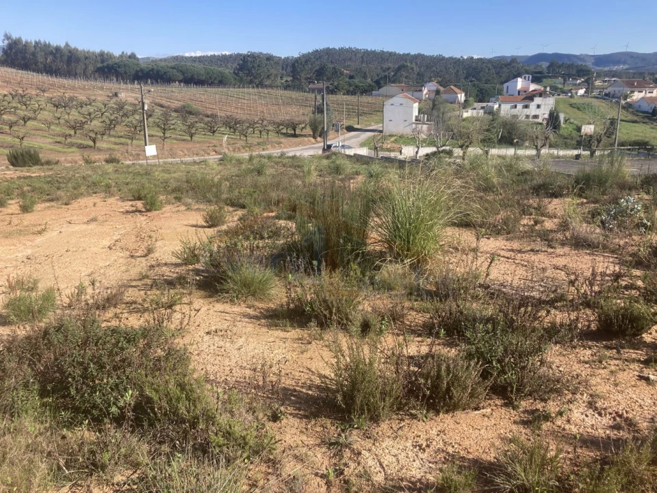 Terreno para Venda em Campelos e Outeiro da Cabeça Foto 12