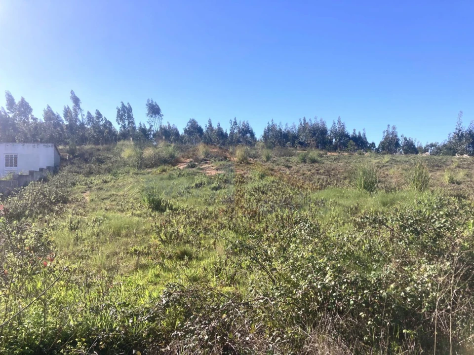 Terreno para Venda em Campelos e Outeiro da Cabeça Foto 18