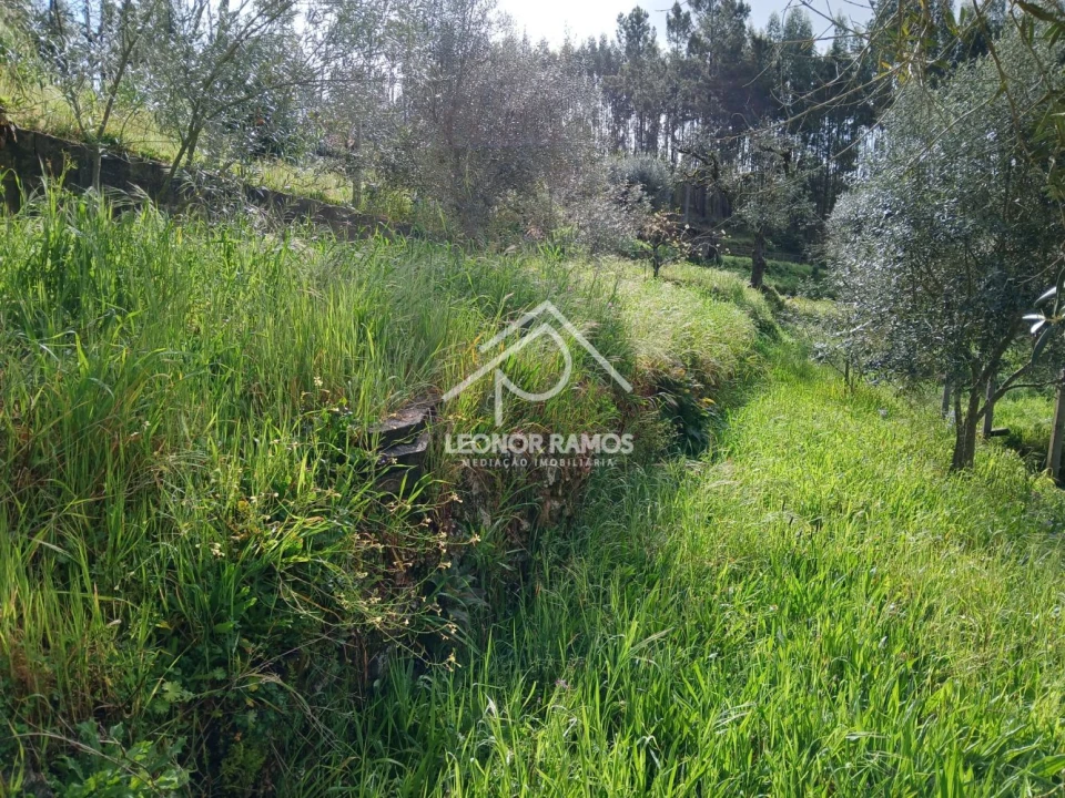 Terreno para Venda em Sertã Foto 9
