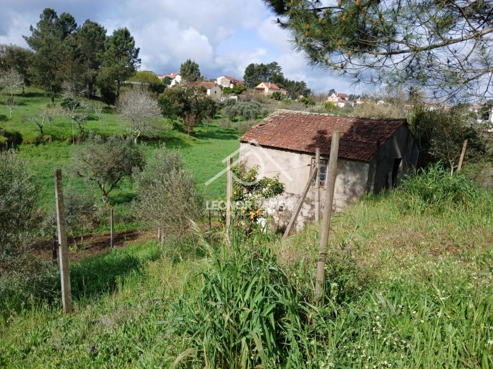 Terreno para Venda em Sertã Foto 28
