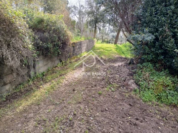 Terreno para Venda em Sertã
