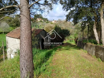 Terreno para Venda em Sertã