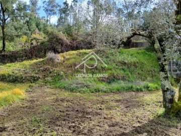 Terreno para Venda em Sertã