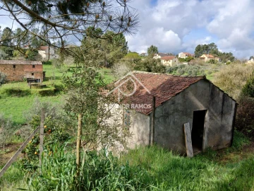 Terreno para Venda em Sertã
