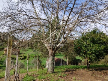 Terreno para Venda em Sertã
