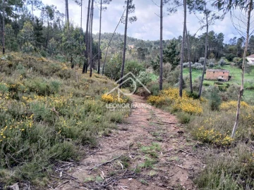 Terreno para Venda em Sertã