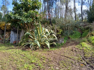 Terreno para Venda em Sertã