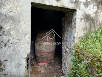 Terreno para Venda em Sertã