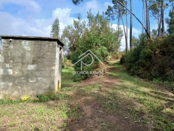 Terreno para Venda em Sertã