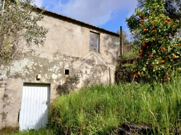 Terreno para Venda em Sertã