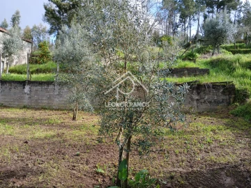 Terreno para Venda em Sertã