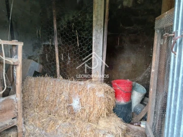 Terreno para Venda em Sertã
