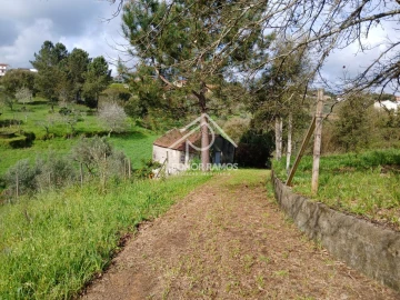 Terreno para Venda em Sertã