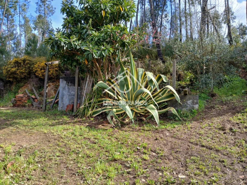 Terreno para Venda em Sertã Foto 37