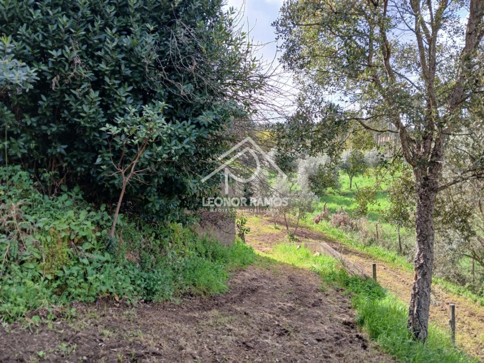 Terreno para Venda em Sertã Foto 20