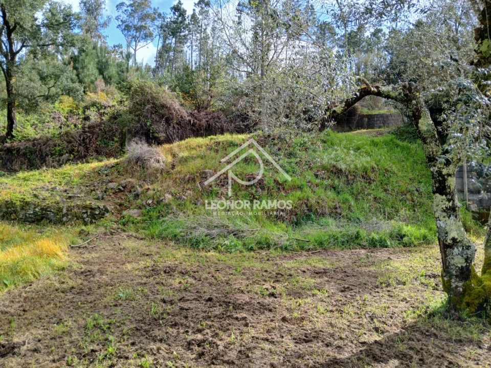Terreno para Venda em Sertã Foto 4
