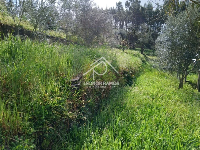 Terreno para Venda em Sertã Foto 9