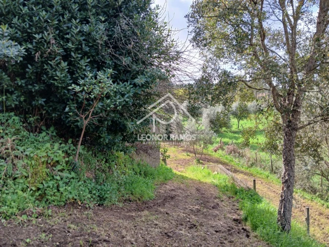 Terreno para Venda em Sertã Foto 20