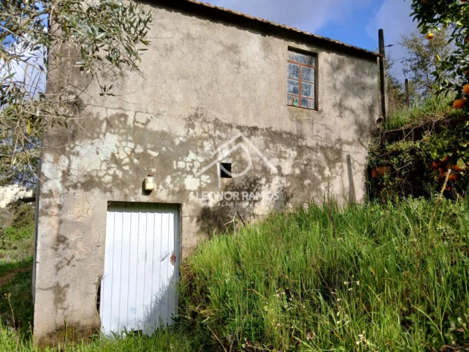 Terreno para Venda em Sertã Foto 11