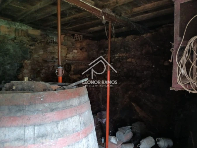 Terreno para Venda em Sertã Foto 16