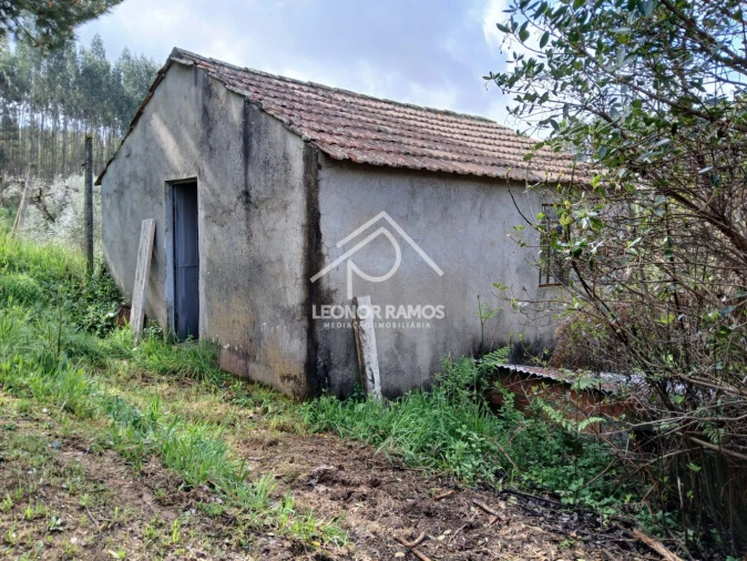 Terreno para Venda em Sertã Foto 21