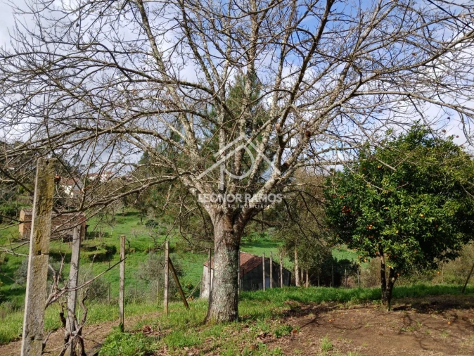 Terreno para Venda em Sertã Foto 35
