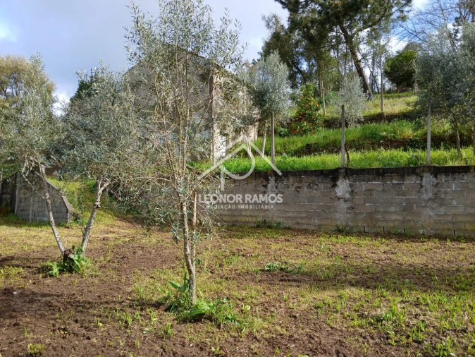 Terreno para Venda em Sertã Foto 6