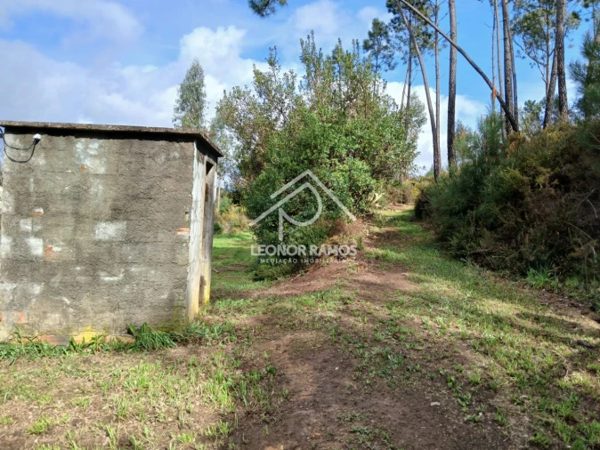 Terreno para Venda em Sertã Foto 41