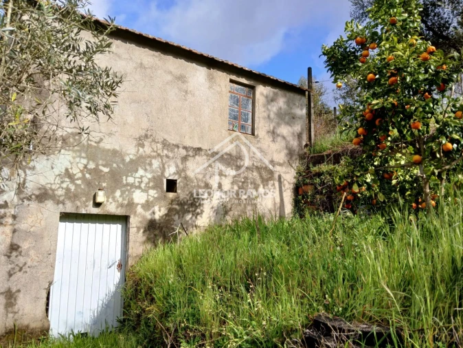 Terreno para Venda em Sertã Foto 12
