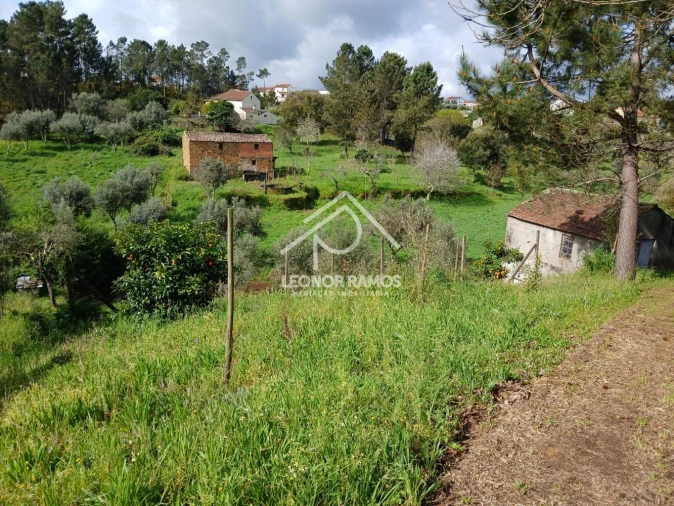 Terreno para Venda em Sertã Foto 31