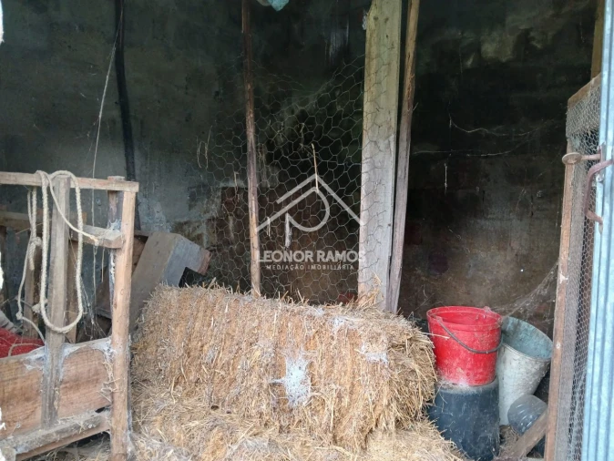 Terreno para Venda em Sertã Foto 18