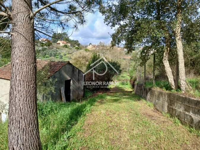 Terreno para Venda em Sertã Foto 29