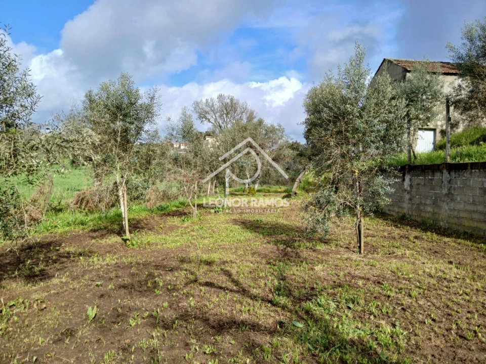 Terreno para Venda em Sertã Foto 1