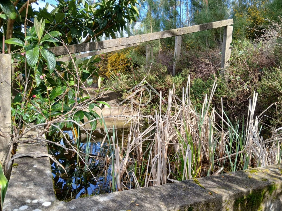 Terreno para Venda em Sertã Foto 40