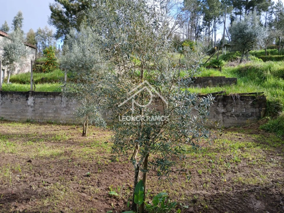 Terreno para Venda em Sertã Foto 7