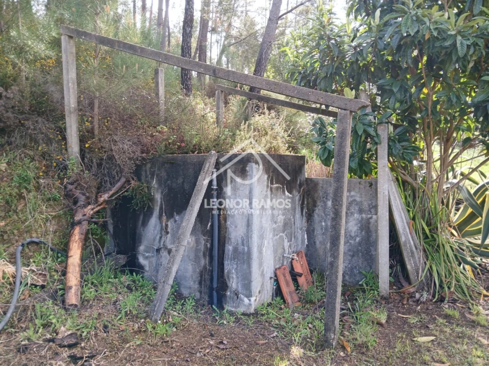 Terreno para Venda em Sertã Foto 33