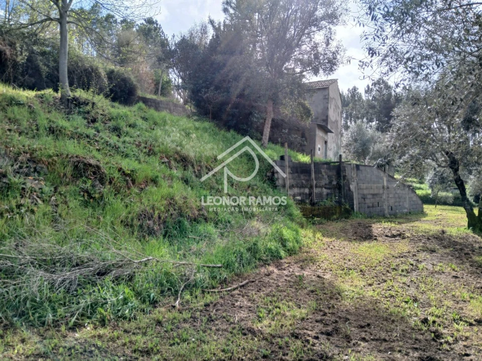 Terreno para Venda em Sertã Foto 8