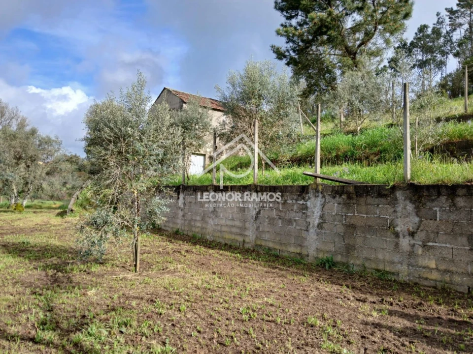 Terreno para Venda em Sertã Foto 2