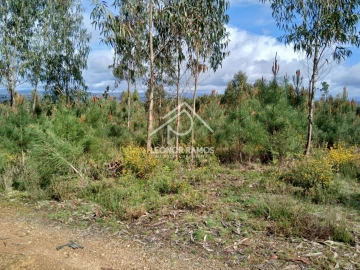 Terreno para Venda em Sertã
