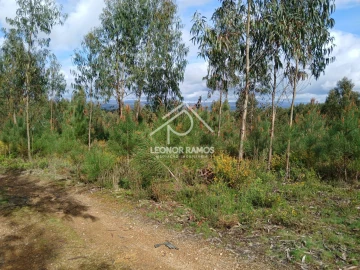 Terreno para Venda em Sertã