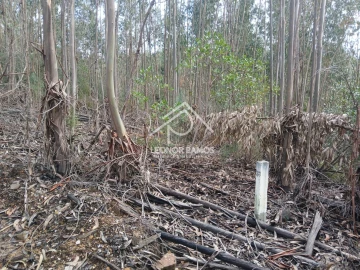 Terreno para Venda em Sertã