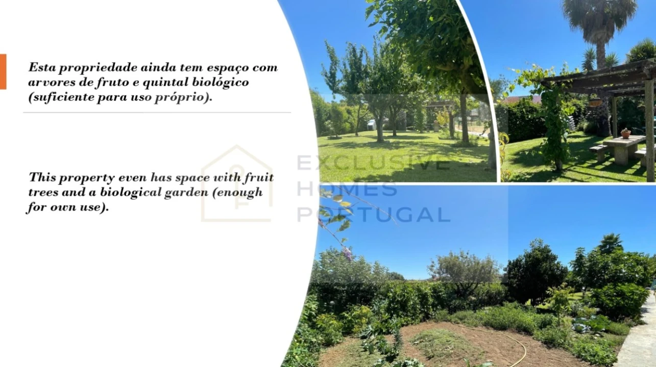 Moradia T6 para Venda em Correlhã Foto 55