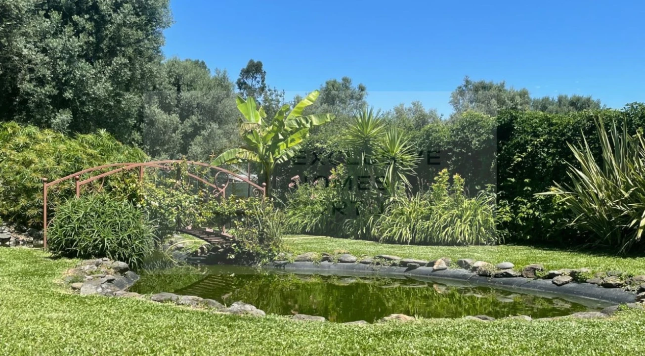 Moradia T6 para Venda em Correlhã Foto 60