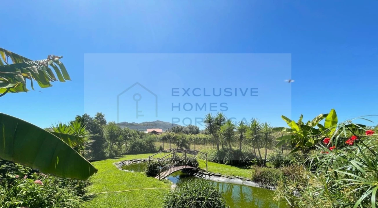 Moradia T6 para Venda em Correlhã Foto 62