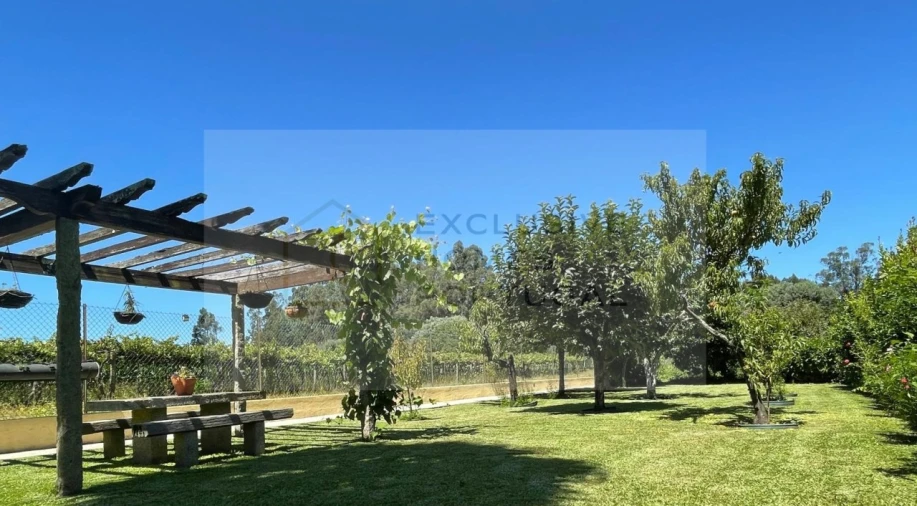 Moradia T6 para Venda em Correlhã Foto 56