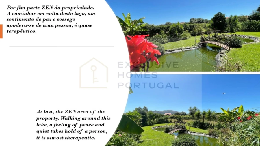 Moradia T6 para Venda em Correlhã Foto 59